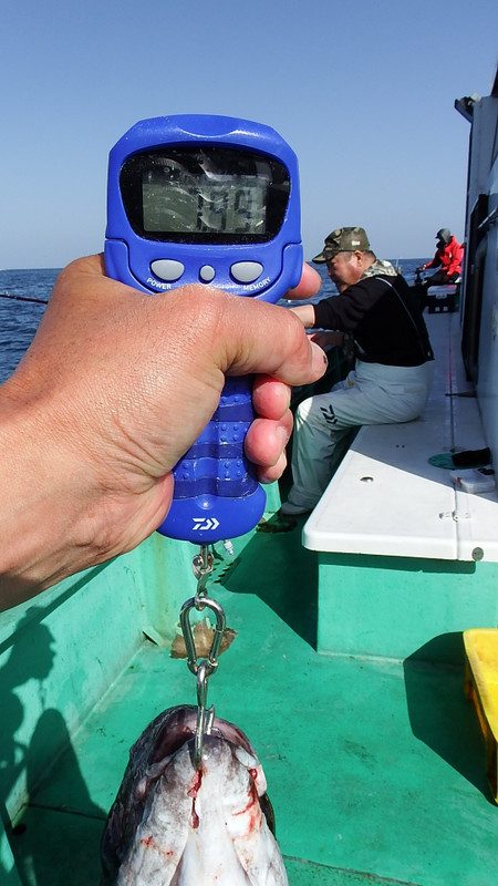 第三むつりょう丸 釣果