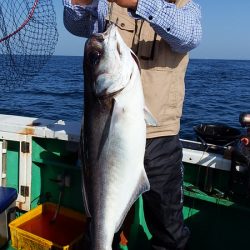 第三むつりょう丸 釣果