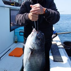 第三むつりょう丸 釣果