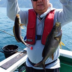 第三むつりょう丸 釣果