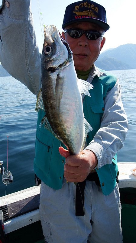 第三むつりょう丸 釣果