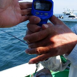 第三むつりょう丸 釣果