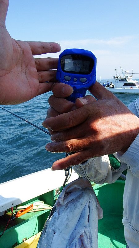 第三むつりょう丸 釣果
