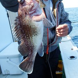 第三むつりょう丸 釣果