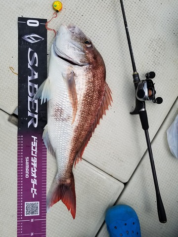 遊漁船　ニライカナイ 釣果