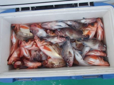 第二むつ漁丸 釣果