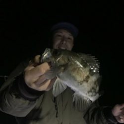 Magic（マジック） 釣果