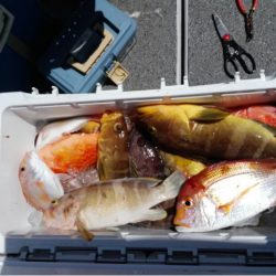 第二大福丸 釣果