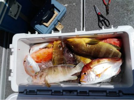 第二大福丸 釣果