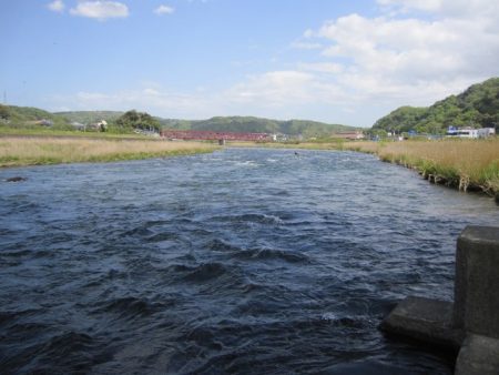 狩野川（狩野川漁業協同組合） 釣果
