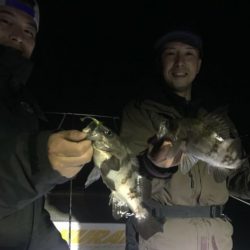 Magic（マジック） 釣果