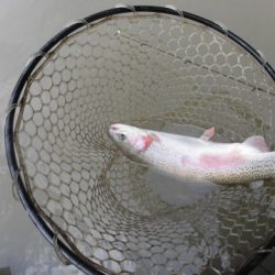 OLAHO　FISHING SPOT 釣果