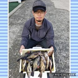 桑田観光 釣果