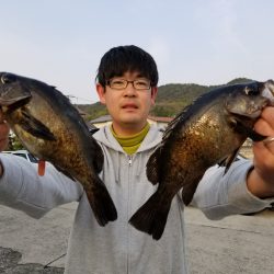 桑田観光 釣果