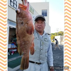 桑田観光 釣果