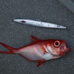 へいみつ丸 釣果