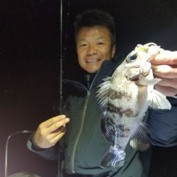 Magic（マジック） 釣果