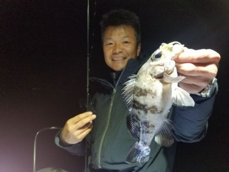 Magic（マジック） 釣果