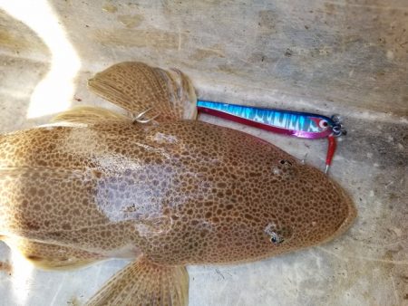 遊漁船　ニライカナイ 釣果