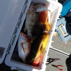 第二大福丸 釣果