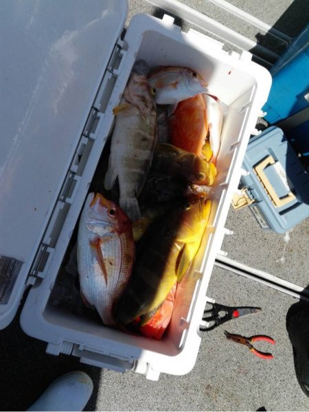 第二大福丸 釣果