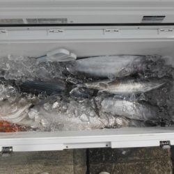開進丸 釣果