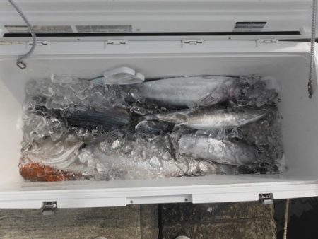 開進丸 釣果
