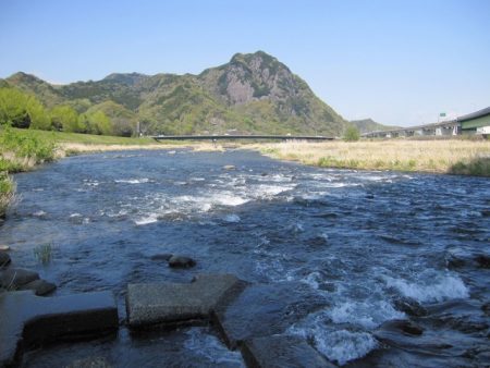 狩野川（狩野川漁業協同組合） 釣果