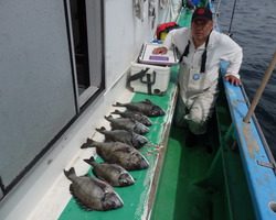 久里浜黒川本家 釣果