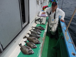 久里浜黒川本家 釣果