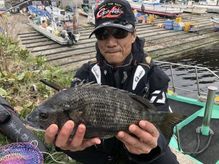 由良渡船 釣果