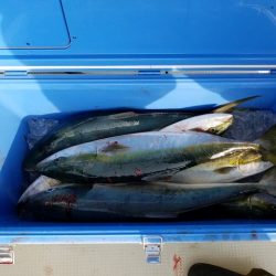 遊漁船　ニライカナイ 釣果