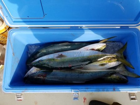 遊漁船　ニライカナイ 釣果