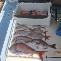 第十八吉栄丸 釣果