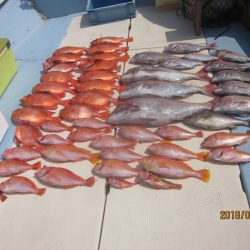 第十八吉栄丸 釣果