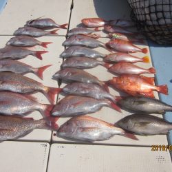 第十八吉栄丸 釣果