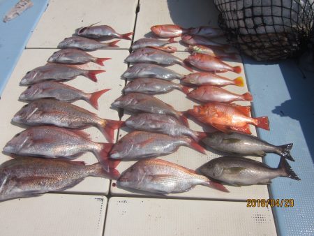 第十八吉栄丸 釣果