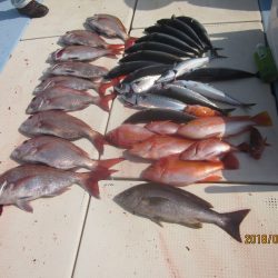 第十八吉栄丸 釣果