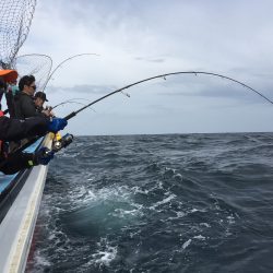 松鶴丸 釣果
