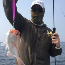 シーモンキー 釣果