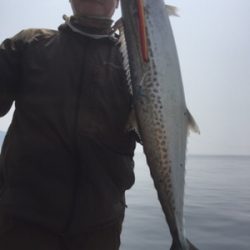 シーモンキー 釣果