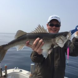 シーモンキー 釣果