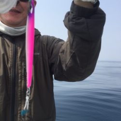 シーモンキー 釣果