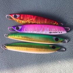 シーモンキー 釣果