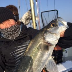 シーモンキー 釣果