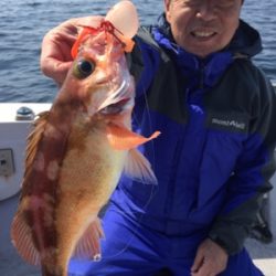 シーモンキー 釣果