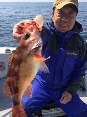 シーモンキー 釣果