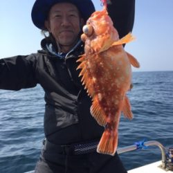 シーモンキー 釣果