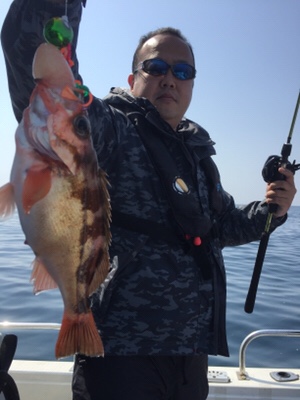 シーモンキー 釣果