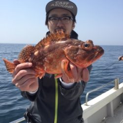 シーモンキー 釣果